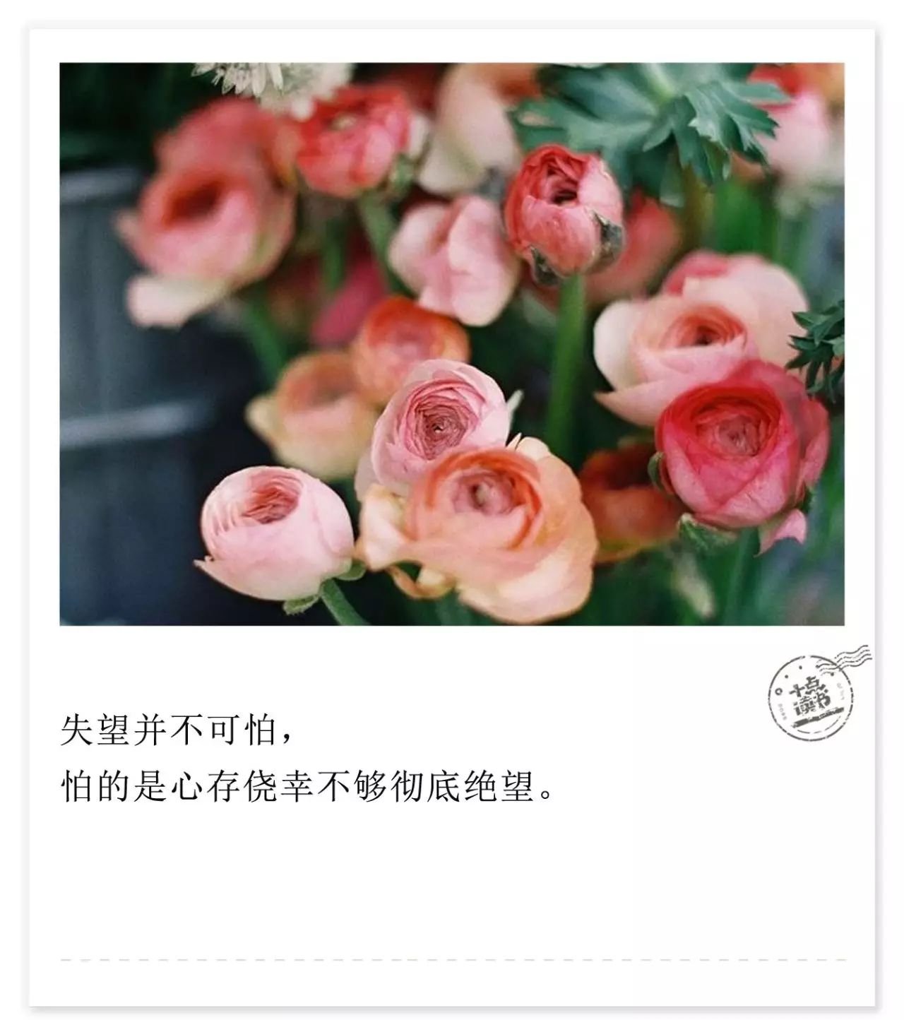 亲爱的记住：永远不要对这个世界失望， 世界也就不会留你独自悲伤。-图片5