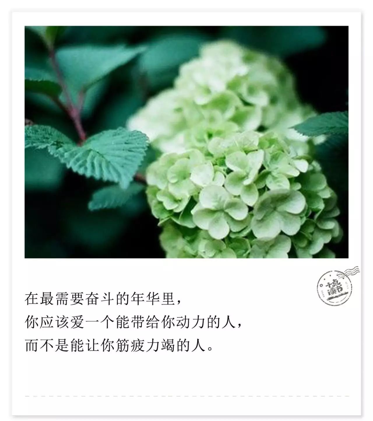 亲爱的记住：永远不要对这个世界失望， 世界也就不会留你独自悲伤。-图片1