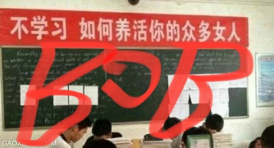 Bob1995泛端口站群的做法-图片2